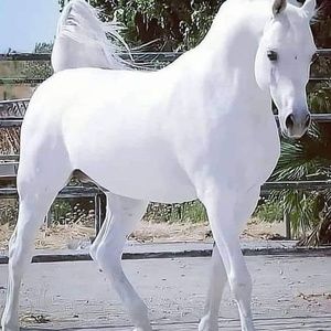 Meet your Posher, Marizol